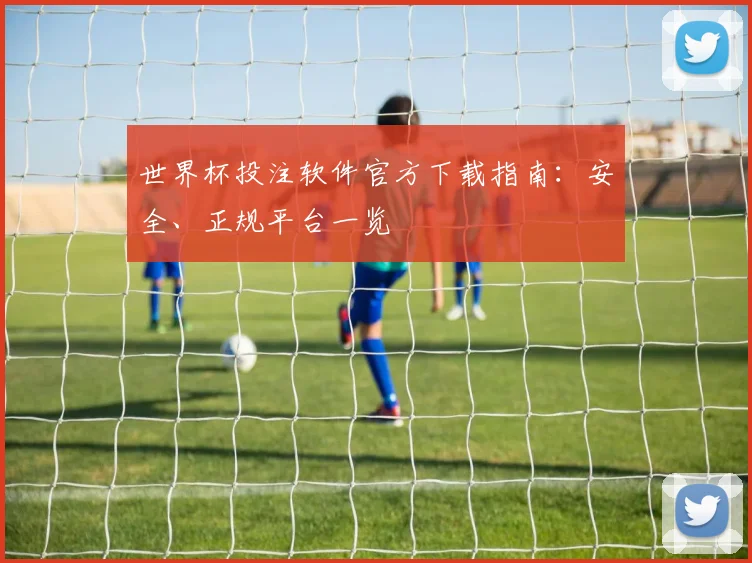 世界杯投注软件官方下载指南：安全、正规平台一览