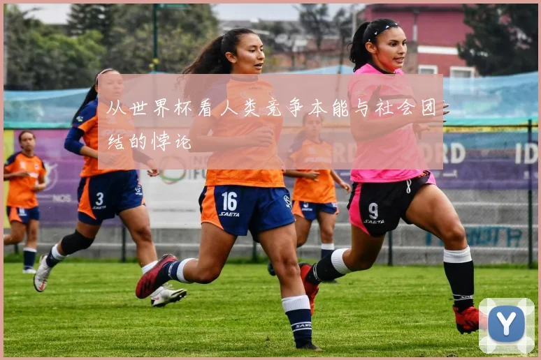 从世界杯看人类竞争本能与社会团结的悖论