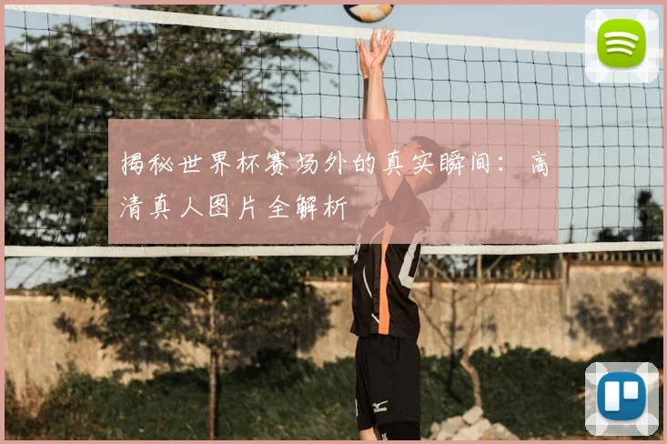 揭秘世界杯赛场外的真实瞬间：高清真人图片全解析