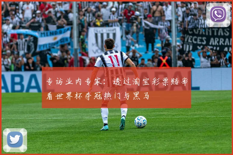 专访业内专家:透过淘宝彩票赔率看世界杯夺冠热门与黑马