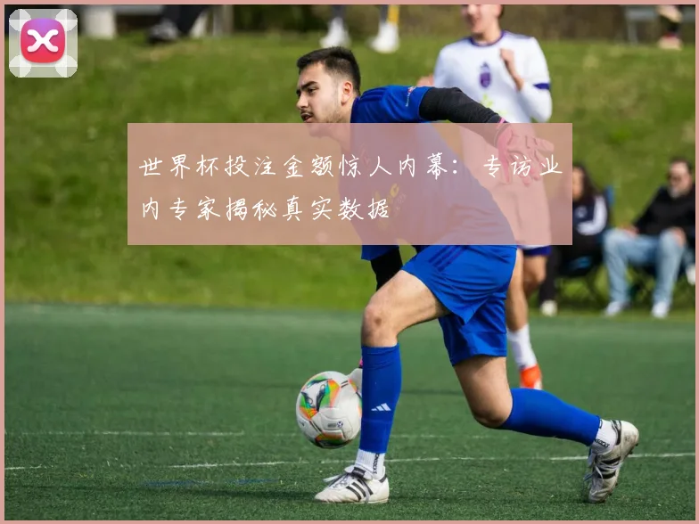 世界杯投注金额惊人内幕:专访业内专家揭秘真实数据