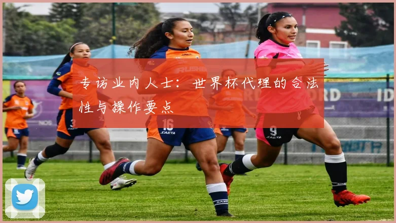 专访业内人士:世界杯代理的合法性与操作要点