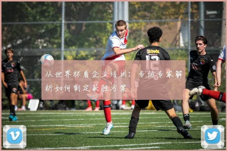 从世界杯看企业培训：专访专家解析如何制定获胜方案