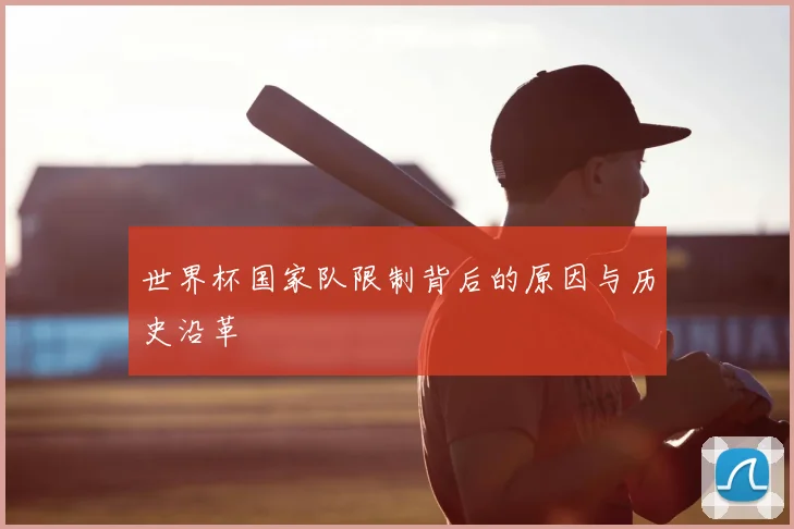 世界杯国家队限制背后的原因与历史沿革