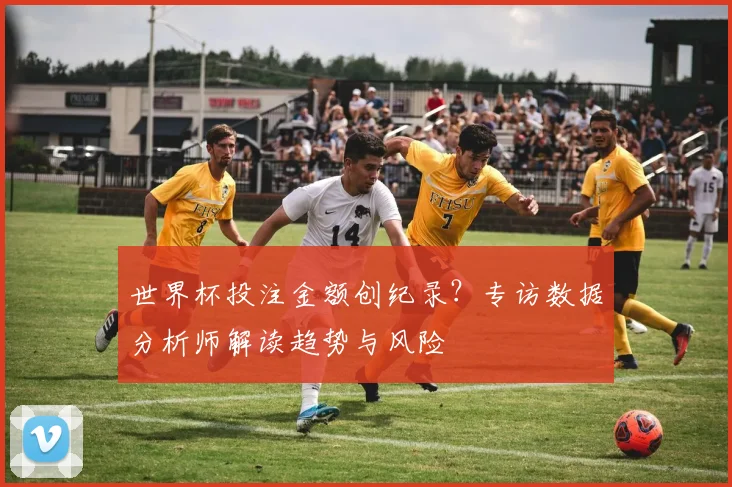世界杯投注金额创纪录？专访数据分析师解读趋势与风险