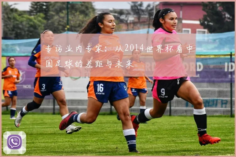 专访业内专家：从2014世界杯看中国足球的差距与未来
