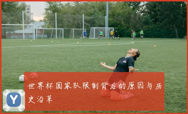 世界杯国家队限制背后的原因与历史沿革