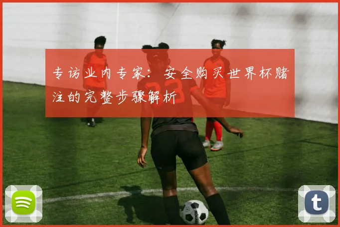 专访业内专家：安全购买世界杯赌注的完整步骤解析