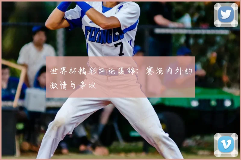世界杯精彩评论集锦：赛场内外的激情与争议